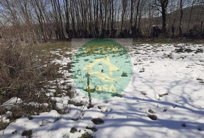 Casă cu 3 camere cu Teren 800 Mp în Icușești - 3