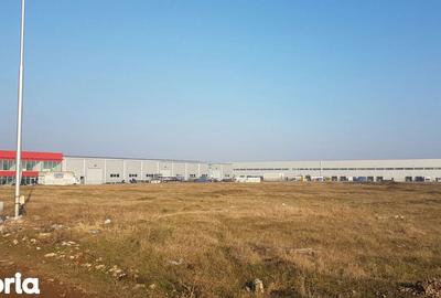 Teren de 35000 mp, în Zădăreni - 8