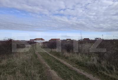 De vanzare teren intravilan in Sanmartin parcelat - 3