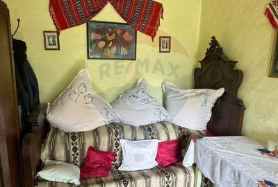 Teren intravilan 4.779 mp + casa si anexe - Girov, Neamt - 13