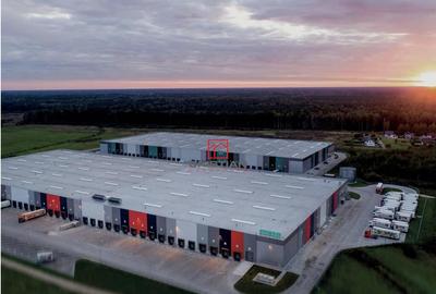 Depozit/hala/spatiu industrial Theodor Pallady - A0 - Cerni - 14