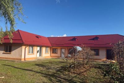 Casa 133 mp utili, 3300 mp teren, Ciutura - 10