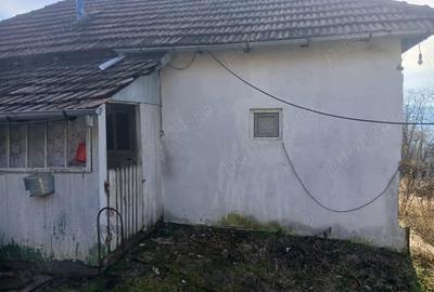 Casă cu Teren 1080 Mp în Blăjani - 6