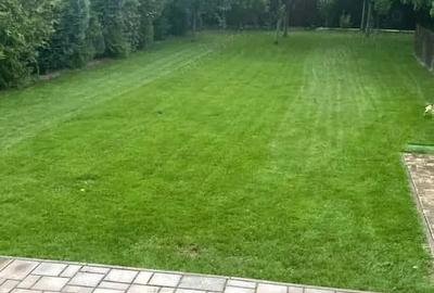 Vand casa, Oradea - 1