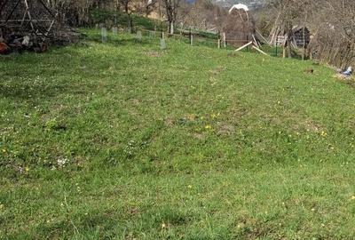 Spațiu comercial, în Valea Doftanei - 5