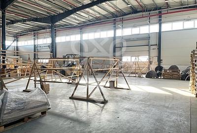 Hala noua 2402 mp in Parcul Industrial I, zona Borsului - 4