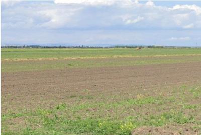 Teren extravilan Cocorastii Colt ; ID: R2710069 - 6