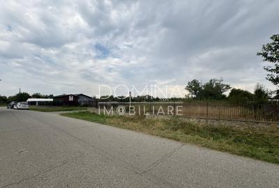 Teren 6800 mp - comuna Calnic - sat Calnic - 5