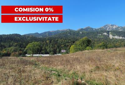 VANZARE TEREN INTRAVILAN SINAIA-CUMPATU Strada Zamora-9.801 mp-Comision 0% - 7