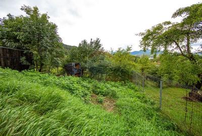 Duplex spatios - oportunitate pentru dezvoltatori sau doua familii - 41