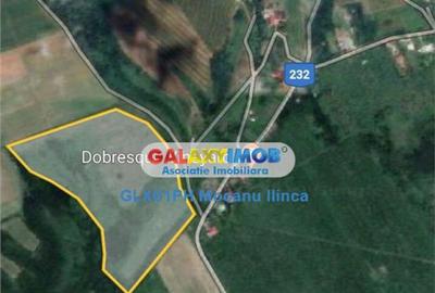 Teren 60000 mp, in Plopu, la 10 km de Ploiesti - 4