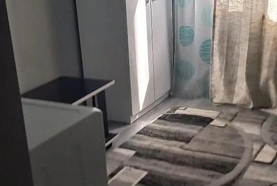 Garsonieră nedecomandată în Buziașului - 1