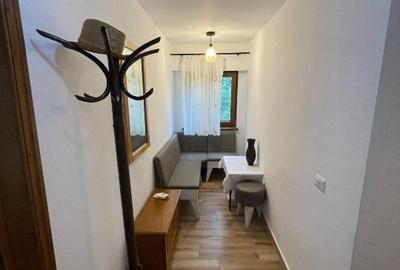 Inchiriere Apartament Ultra-Central Semi-Lux 2 camere + garaj - 10