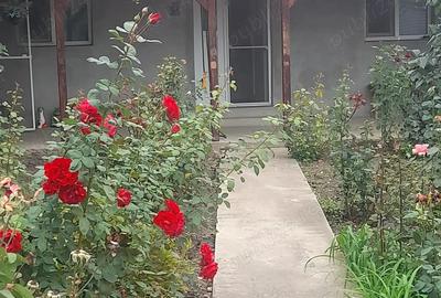 Casă cu 3 camere în Valea Grecului - 4