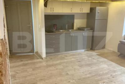 Apartament cu 2 camere semidecomandat în Horea - 3