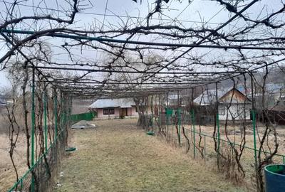 Casă cu 2 camere în Central - 6