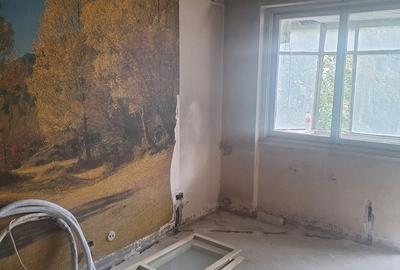 Tineretului- Parc - 2