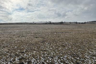 Spațiu comercial, în Nimigea - 5