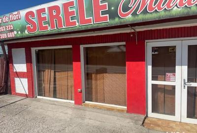Spațiu comercial, de 47 mp, în Bascov - 5