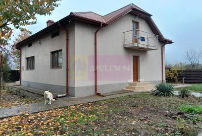 Casă cu 7 camere cu Teren 1500 Mp în Islaz - 6