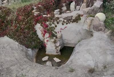 Vand casa locuibila! - 2