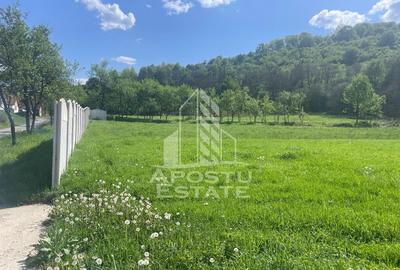 Teren intravilan, partial imprejmuit, eligibil grant- Poj... - 4