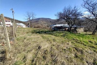 Teren de 2500 mp, în Vest - 12