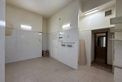 Spatiu Aviatiei - Caramfil / De inchiriat - 10