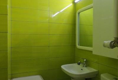 Decebal 3 Camere Decomandat Pet Friendly - 15