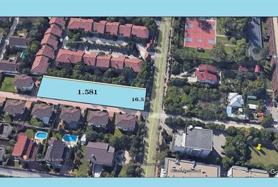 Iancu Nicolae1.771 mp - 1