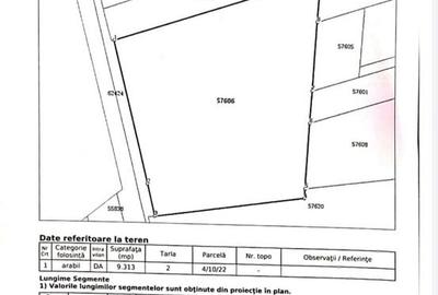 Teren intravilan 9313 mp in comuna 1 Decembrie - Ilfov Teren intravilan 9313 mp in comuna 1 Decembrie - Ilfov - 4