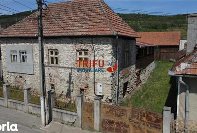 Casă cu 4 camere cu Teren 5000 Mp în Cricău - 4