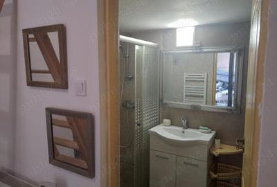 Garsonieră decomandată în Horea - 4