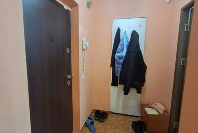Apartament cu 2 camere semidecomandat în Teiul Doamnei - 14