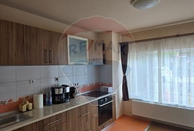 Casa / Vila cu 7 camere de vanzare - 4