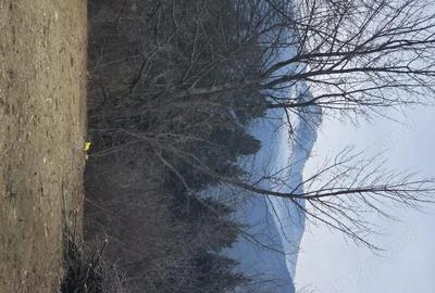 Teren de 2000 mp, în Hangu - 2