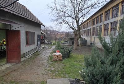 Casă cu 2 camere cu Teren 10000 Mp în Central - 1