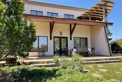 Casa P+M de vanzare in Nufaru - 3