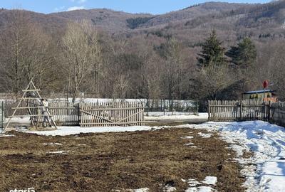 Spațiu comercial, în Secăria - 2