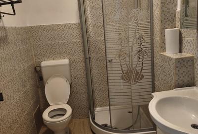 Apartament cu 2 camere decomandat, mobilat în Ștefan cel Mare - 5