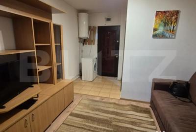 Garsonieră nedecomandată în Bucovina - 2