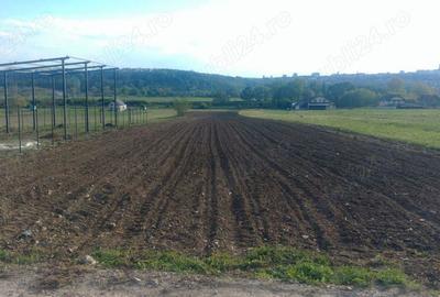 Teren în Burdujeni - 4