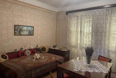 Casă cu 5 camere în Peciu Nou - 3