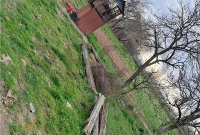 Casă cu 2 camere cu Teren 1000 Mp în Cefa - 7