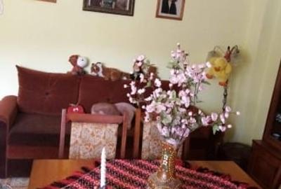 Casă bifamilială foarte bine întreținută, cu facilități bune - 7