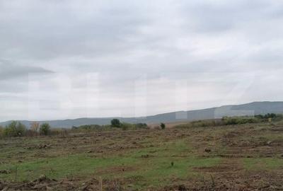 Teren de 4500 mp, în Tomești