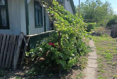 Casă cu 3 camere în Vărsătura - 2