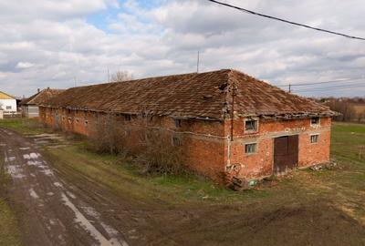 Spațiu industrial, de 3,000 mp, în Mișca - 22