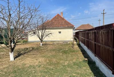 Casă cu 2 camere cu Teren 1160 Mp în Central - 2