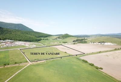Teren la DN 1 Codlea ideal comercial - 5